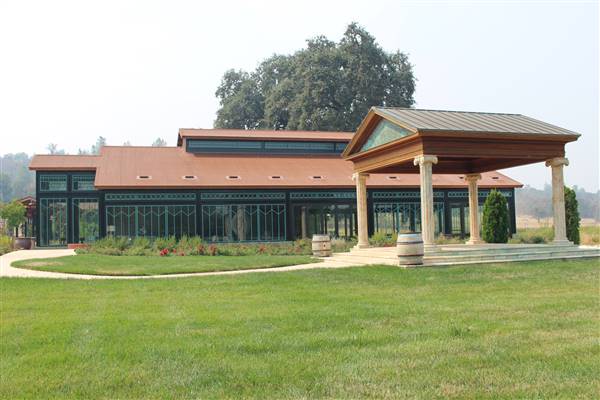 Anselmo Vineyard (10/29/2015)