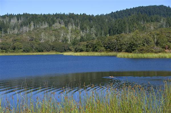 Trione-Annadel State Park (SP) (1/8/2016 - Credits: Courtesy of California State Parks, 2016)