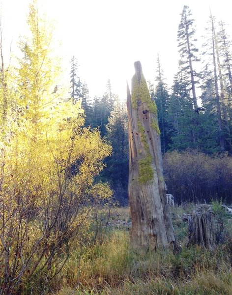 Burton Creek State Park (SP) (1/14/2016 - Credits: http://parks.ca.gov/?page_id=512)