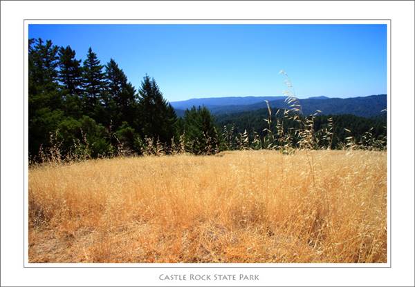 Castle Rock State Park (SP) (1/14/2016 - Credits: http://www.parks.ca.gov/?page_id=538)
