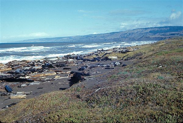 Manchester State Park (SP) (1/20/2016 - Credits: Courtesy of California State Parks, 2016)