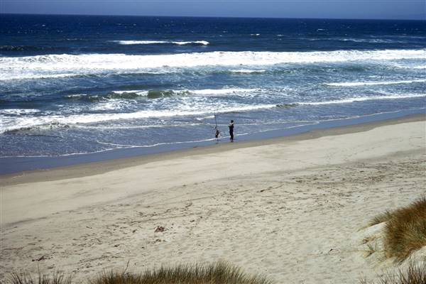 Zmudowski State Beach (SB) (2/29/2016)