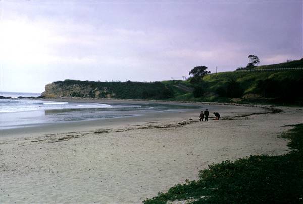 Refugio State Beach (SB) (3/1/2016)