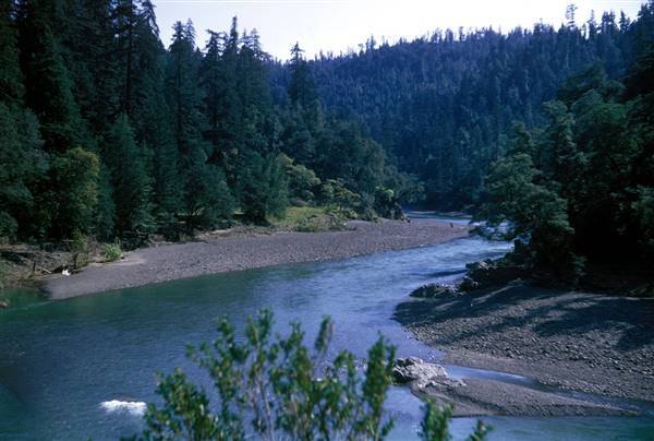 Smithe Redwoods State Natural Reserve (SNR) (3/1/2016)