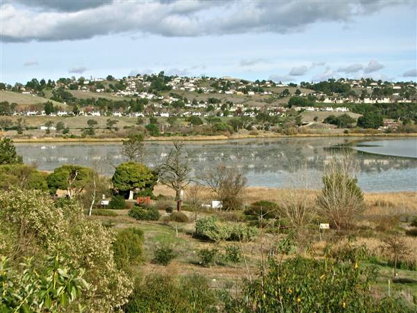 Benicia State Recreation Area (SRA) - http://stateparkclosurestrip.blogspot.com/ (3/2/2016 - Credits: Photo courtesy of Lucy D'Mot)