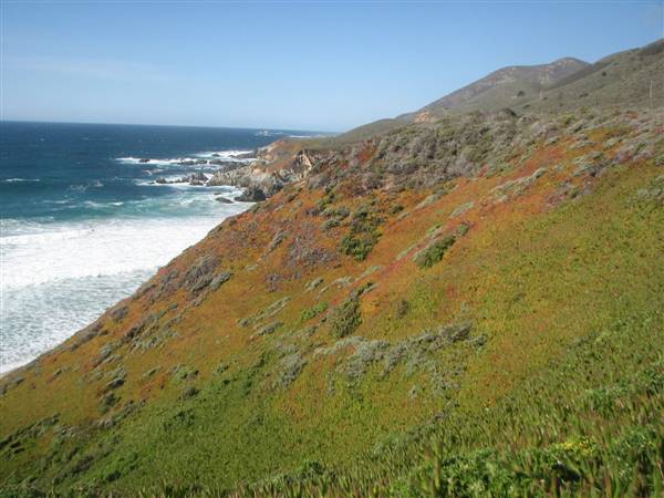 Garrapata State Park (SP) - http://stateparkclosurestrip.blogspot.com/ (3/2/2016 - Credits: Photo courtesy of Lucy D'Mot)