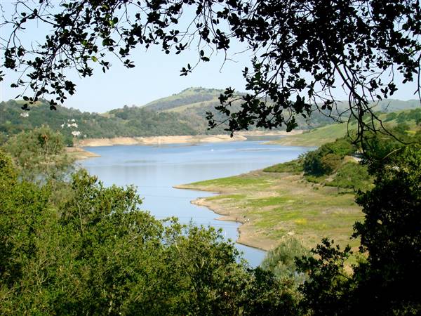Henry W. Coe State Park (SP) - http://stateparkclosurestrip.blogspot.com/ (3/2/2016 - Credits: Photo courtesy of Lucy D'Mot)