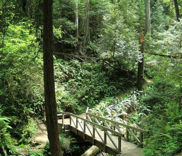 Russian Gulch State Park (SP) / Russian Gulch Bridge - Highway 1 - http://stateparkclosurestrip.blogspot.com/ (3/3/2016 - Credits: Photo courtesy of Lucy D'Mot)
