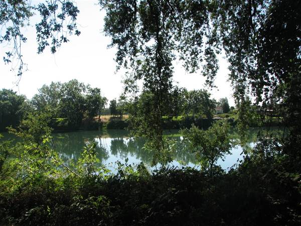 William B. Ide Adobe State Historic Park (SHP) - http://stateparkclosurestrip.blogspot.com/ (3/3/2016 - Credits: Photo courtesy of Lucy D'Mot)