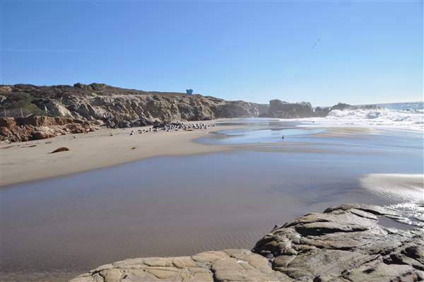 Leo Carrillo State Park and Beach (SP) (3/7/2016 - Credits: Photo courtesy of Robin Citrin)