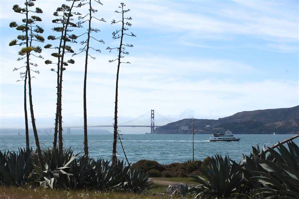 Angel Island State Park (SP) (3/9/2016 - Credits: Photo courtesy of Marin Convention & Visitors Bureau)