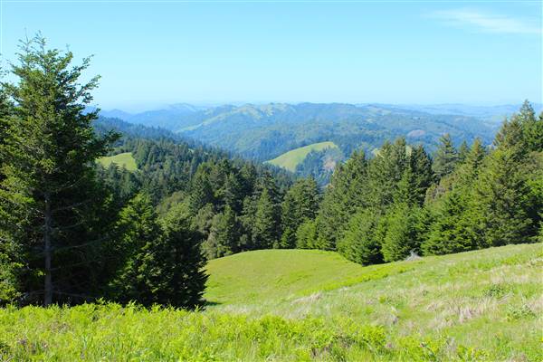 Mount Tamalpais State Park (SP) (3/9/2016 - Credits: Photo courtesy of Marin Convention & Visitors Bureau)