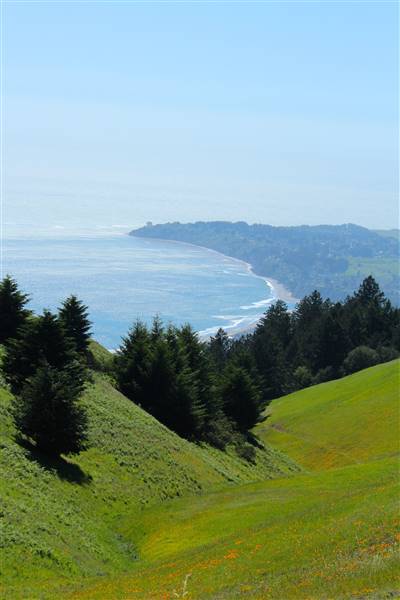 Mount Tamalpais State Park (SP) (3/9/2016 - Credits: Photo courtesy of Marin Convention & Visitors Bureau)