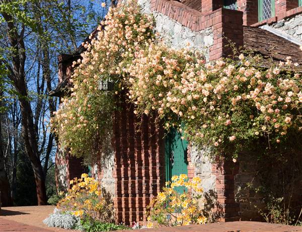 Empire Mine State Historic Park (SHP) (3/16/2016 - Credits: Photo courtesy of Richard Bannister)