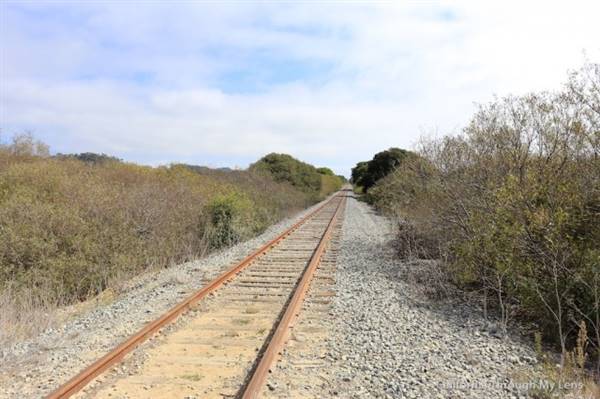 Wilder Ranch State Park (SP) / Four Mile Beach & Three Mile Beach - Photo courtesy of Josh McNair, californiathroughmylens.com (3/24/2016 - Credits: Photo courtesy of Josh McNair, californiathroughmylens.com)