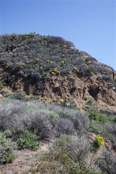 La Piedra State Beach @ Robert H. Meyer Memorial State Beach (SB) - CFC (4/1/2016 - Credits: Photo courtesy of Gillian Bissonnette, California Film Commission)