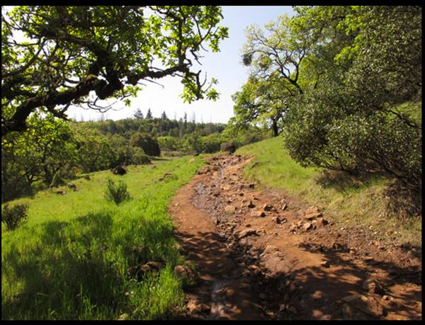 Trione-Annadel State Park (SP) - Photo courtesy of Tim Sartoris (4/7/2016 - Credits: Photo courtesy of Tim Sartoris)