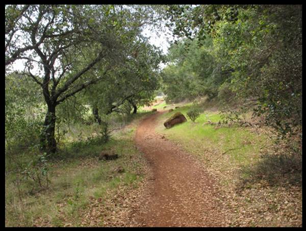 Trione-Annadel State Park (SP) - Photo courtesy of Tim Sartoris (4/7/2016 - Credits: Photo courtesy of Tim Sartoris)