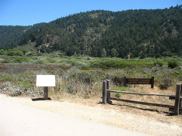 Año  Nuevo State Park (SP) - Photo courtesy of Tim Sartoris (4/7/2016 - Credits: Photo courtesy of Tim Sartoris)