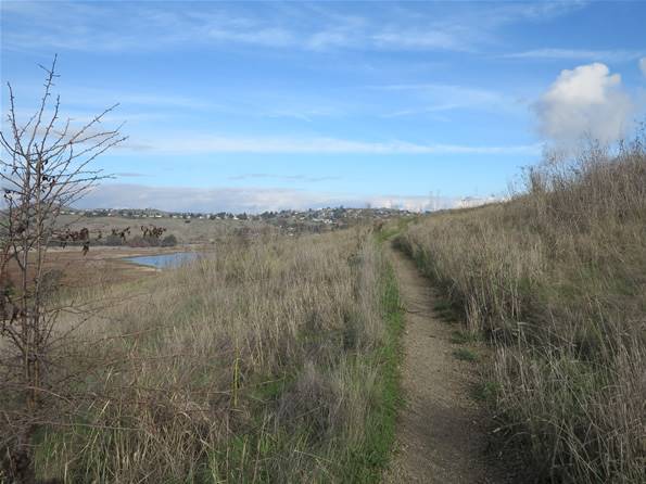 Benicia State Recreation Area (SRA) - Photo courtesy of Tim Sartoris (4/7/2016 - Credits: Photo courtesy of Tim Sartoris)