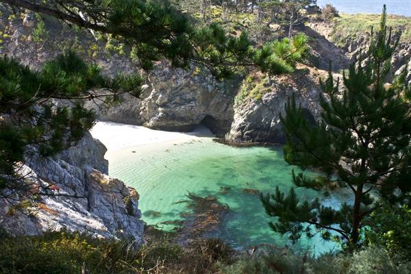 Point Lobos State Natural Reserve (SNR) - Photos by Callie Bowdish - http://www.calliebowdish.com/slideshow/PointLobos/index.html (4/7/2016 - Credits: Photos by Callie Bowdish - http://www.calliebowdish.com/slideshow/PointLobos/index.html)