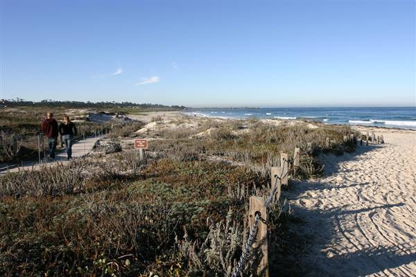 Asilomar State Beach and Conference Grounds - Photo by Callie Bowdish (4/7/2016 - Credits: Photo by Callie Bowdish)