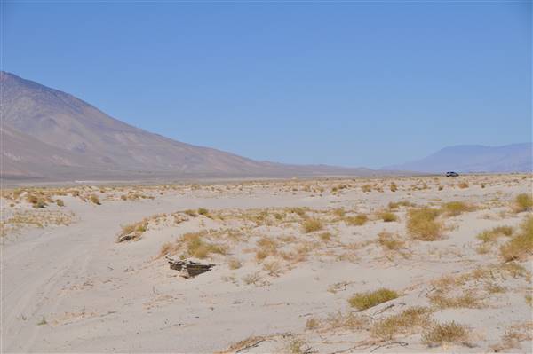 Olancha Sand Dunes - Bureau of Land Management - California Desert District - Ridgecrest Field Office - BLM - Off Highway Vehicle Area - OHV (4/12/2016 - Credits: Photo by Robin Citrin)