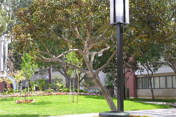 University of Southern California - USC (4/15/2016 - Credits: Photo by Robin Citrin)