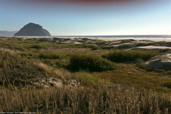 Morro Strand State Beach (SB) (6/16/2013 - Credits: By Mike Baird from Morro Bay, USA [CC BY 2.0 (http://creativecommons.org/licenses/by/2.0)], via Wikimedia Commons)