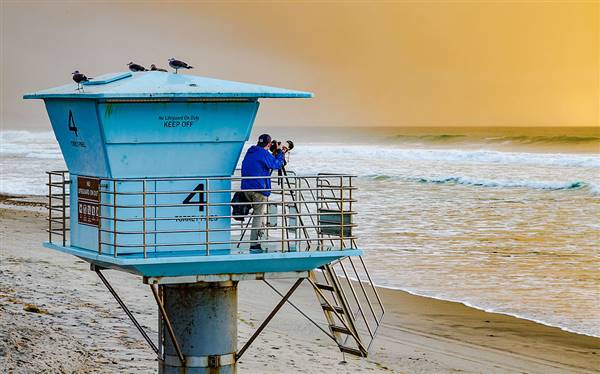 Torrey Pines State Beach (SB) (12/12/2014 - Credits: By Tony Webster from San Francisco, California (Torrey Pines Sunset Photographer) [CC BY-SA 2.0 (http://creativecommons.org/licenses/by-sa/2.0)], via Wikimedia Commons)