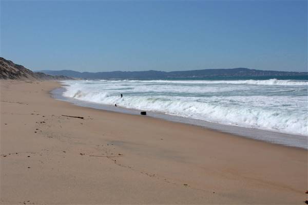 Fort Ord Dunes State Park (SP) (3/10/2009 - Credits: By Elery S. Oxford [CC BY 2.0 (http://creativecommons.org/licenses/by/2.0)], via Wikimedia Commons)