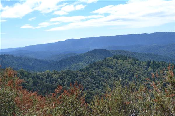 Castle Rock State Park (SP) (9/1/2013 - Credits: By Oleg Alexandrov (Own work) [CC BY-SA 3.0 (http://creativecommons.org/licenses/by-sa/3.0)], via Wikimedia Commons)