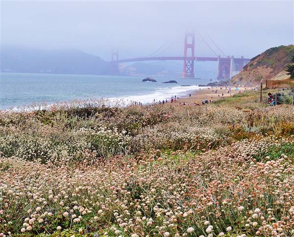 Baker Beach (7/9/2010 - Credits: By DaNASCAT (Own work) [CC BY-SA 3.0 (http://creativecommons.org/licenses/by-sa/3.0) or GFDL (http://www.gnu.org/copyleft/fdl.html)], via Wikimedia Commons)