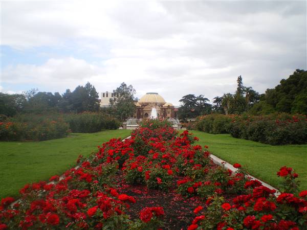 Exposition Park Rose Garden (5/16/2016 - Credits: By Los Angeles (Own work) [CC BY-SA 3.0 (http://creativecommons.org/licenses/by-sa/3.0)], via Wikimedia Commons)