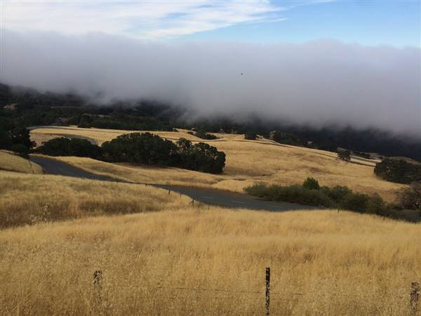 Mount Diablo State Park (SP) (8/3/2014 - Credits: "Shots from today's Mt Diablo climb" by Dan Harrelson (CC BY 2.0) [https://creativecommons.org/licenses/by/2.0/legalcode] https://www.flickr.com/photos/dharrels/)