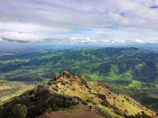 Mount Diablo State Park (SP) (3/19/2016 - Credits: "IMG_1111.JPG" by Eddie Penland (CC BY-NC-ND 2.0) [https://creativecommons.org/licenses/by-nc-nd/2.0/legalcode] https://www.flickr.com/photos/epenland/)