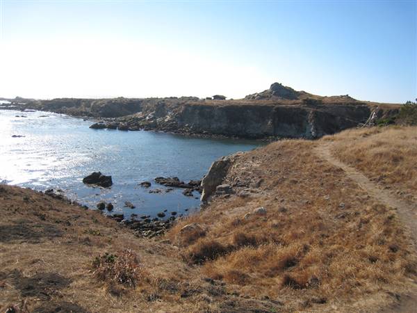 Salt Point State Park (SP) (9/27/2008 - Credits: "September08-_149" by Sharona Gott [https://creativecommons.org/licenses/by/2.0/legalcode] https://www.flickr.com/photos/gottshar/)