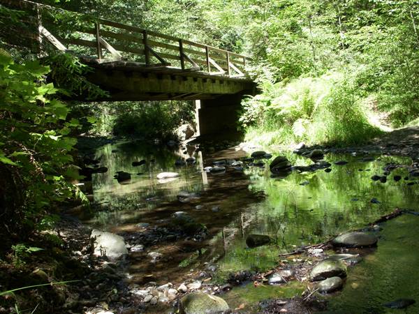Forest of Nisene Marks State Park (SP), The (7/28/2007 - Credits: "Forest of Nisene Marks" Image by Harry Criswell (CC BY-NC-ND 2.0)[https://creativecommons.org/licenses/by-nc-nd/2.0/legalcode]https://www.flickr.com/photos/hcriswell/)