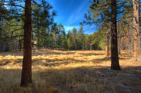 Mount San Jacinto State Park (SP) & Palm Springs Aerial Tramway (4/5/2010 - Credits: "Mount San Jacinto State Park" By flickr user: msacks_us (CC BY-NC-ND 2.0)[https://creativecommons.org/licenses/by-nc-nd/2.0/legalcode] https://www.flickr.com/photos/msacks_us/)