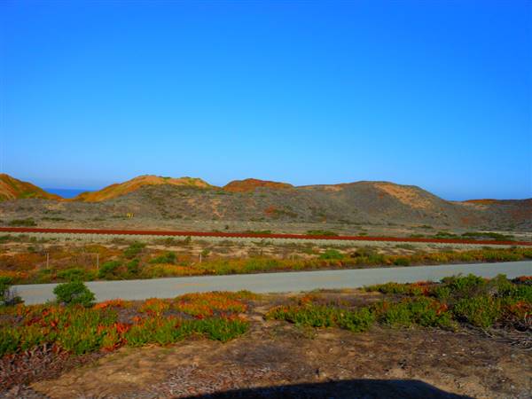 Fort Ord National Monument (3/14/2014 - Credits: "Fort Ord Dunes State Park, Near Monterey, California" by Ken Lund (CC BY-SA 2.0)[https://creativecommons.org/licenses/by-sa/2.0/legalcode] https://www.flickr.com/photos/kenlund/)