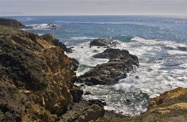 Harmony Headlands State Park (SP) (10/30/2011 - Credits: "Harmony Headlands SP" By Teddy Llovet (CC BY-NC 2.0)[https://creativecommons.org/licenses/by-nc/2.0/legalcode]https://www.flickr.com/photos/teddyllovet/)