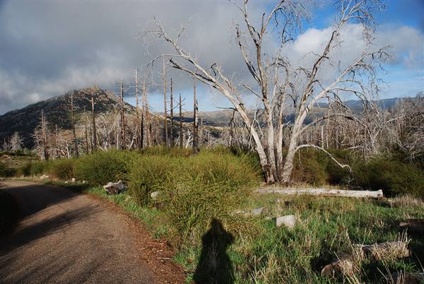 Cuyamaca Rancho State Park (SP), Lake Cuyamaca and Grand Valley Rapids (4/1/2013 - Credits: "sm0094cuyamaca" by Penny Meyer (CC BY-NC 2.0)[https://creativecommons.org/licenses/by-nc/2.0/legalcode]https://www.flickr.com/photos/penmeyer/)