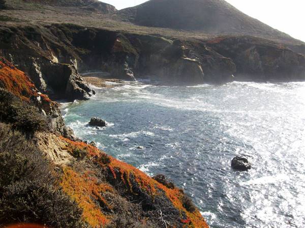 Garrapata State Park (SP) (10/17/2007 - Credits: "garrapata04" by Matthew Lee High (CC BY-NC 2.0)[https://creativecommons.org/licenses/by-nc/2.0/legalcode]https://www.flickr.com/photos/matthigh/)