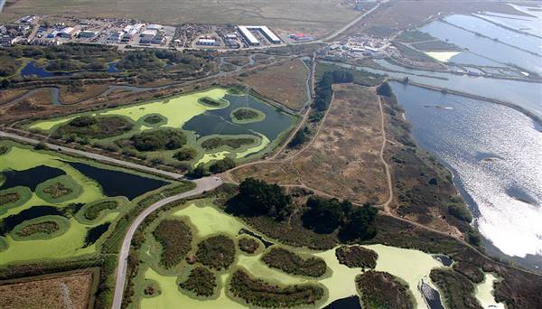 Arcata Marsh and Wildlife Sanctuary (10/6/2005 - Credits: "Marsh2.jpg" by Terrence McNally (CC BY 2.0)[https://creativecommons.org/licenses/by/2.0/legalcode]https://www.flickr.com/photos/terrencemcnally/)