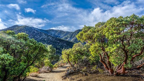 Devil's Punchbowl (11/22/2014 - Credits: "Devil's Punchbowl, Pearblossom, California" by Jeff Turner (CC BY 2.0) [https://creativecommons.org/licenses/by/2.0/legalcode]https://www.flickr.com/photos/respres/)