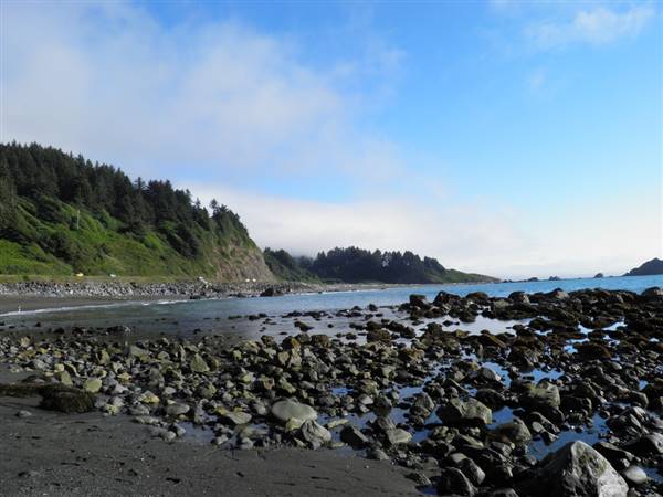 Redwood National & State Parks (8/19/2012 - Credits: "Redwood National Park" by Flickr User: Mike M.S. (CC BY 2.0)[https://creativecommons.org/licenses/by/2.0/legalcode]https://www.flickr.com/photos/39965300@N07/)
