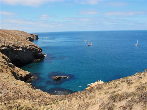 Channel Islands National Park - Santa Barbara Island (4/20/2012 - Credits: "Santa Barbara Island" by John Fellner (CC BY-NC-ND 2.0)[https://creativecommons.org/licenses/by/2.0/legalcode]https://www.flickr.com/photos/johnfellner/)