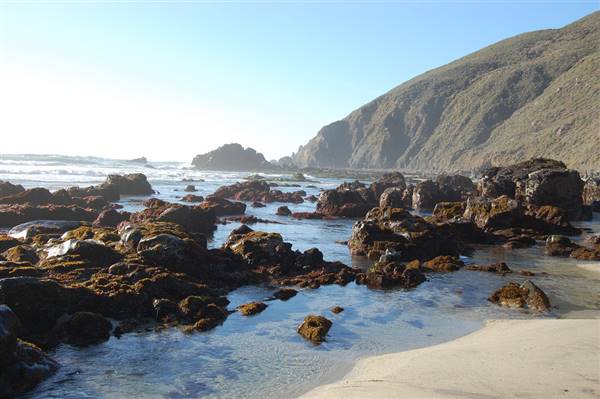 Pfeiffer Beach @ Big Sur - Los Padres National Forest - not a state park (12/24/2011 - Credits: "Pfeiffer Beach Big Sur" by Flickr User: FarOutFlora (CC BY-NC-ND 2.0)[https://creativecommons.org/licenses/by-nc-nd/2.0/legalcode] https://www.flickr.com/photos/faroutflora/)