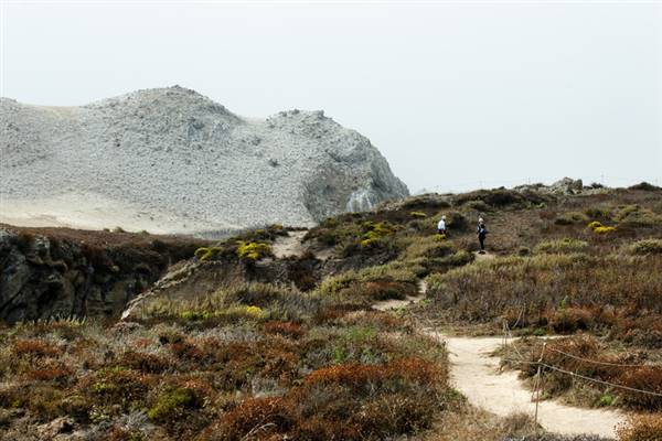 Point Lobos State Natural Reserve (SNR) (3/21/2008 - Credits: California Travel and Tourism Commision / Blaise (2008))