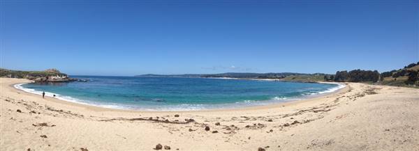 Monastery Beach @ Carmel River State Beach (SB) (5/18/2013 - Credits: "Monastery Beach" by Joseph Thornton (CC BY-SA 2.0)[https://creativecommons.org/licenses/by-sa/2.0/legalcode] https://www.flickr.com/photos/jtjdt/)